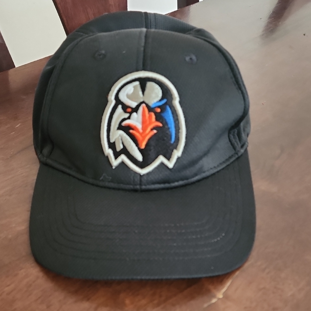 Aberdeen Ironbirds Minor League Black Sports Cap